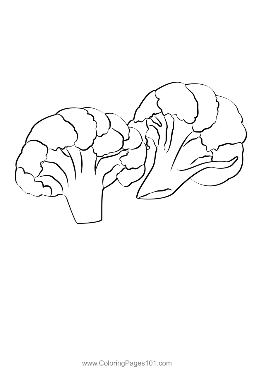 Broccoli 3 coloring page for kids free broccoli printable coloring