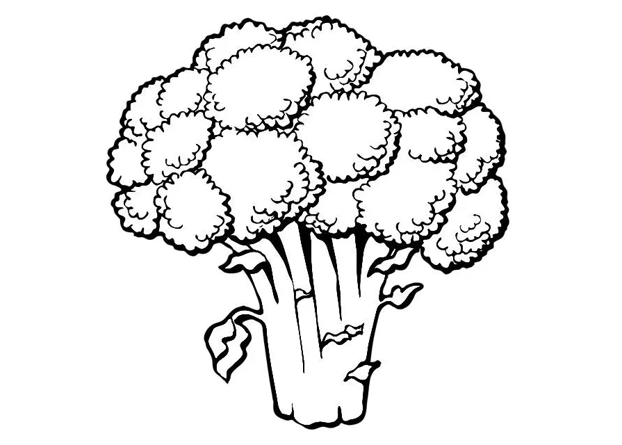 Coloring page broccoli free printables img 19173