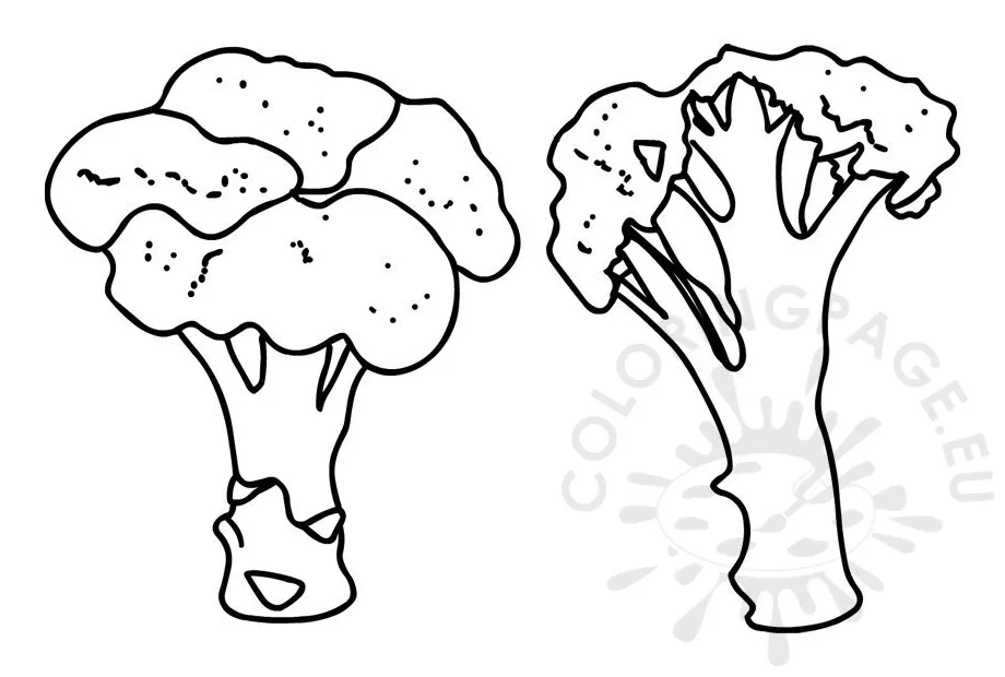 Broccoli coloring page