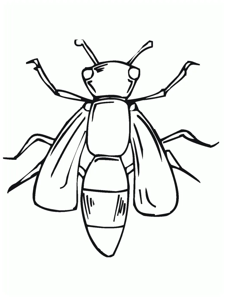 Free printable s for kids