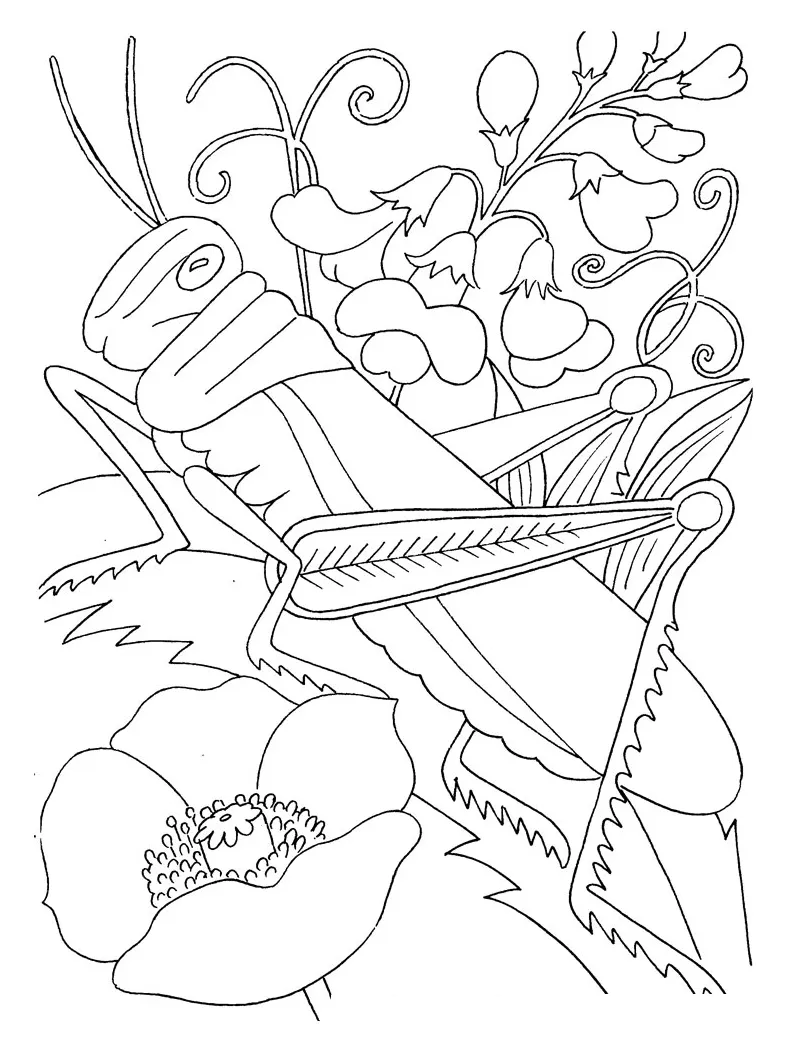 S free coloring pages