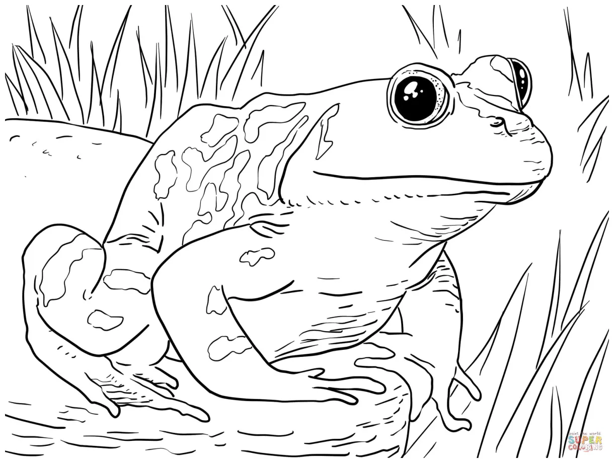 Adult male american free printable coloring pages