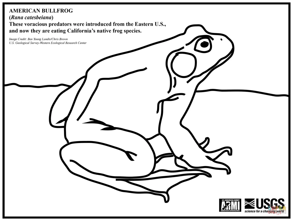 American free printable coloring pages printable coloring page