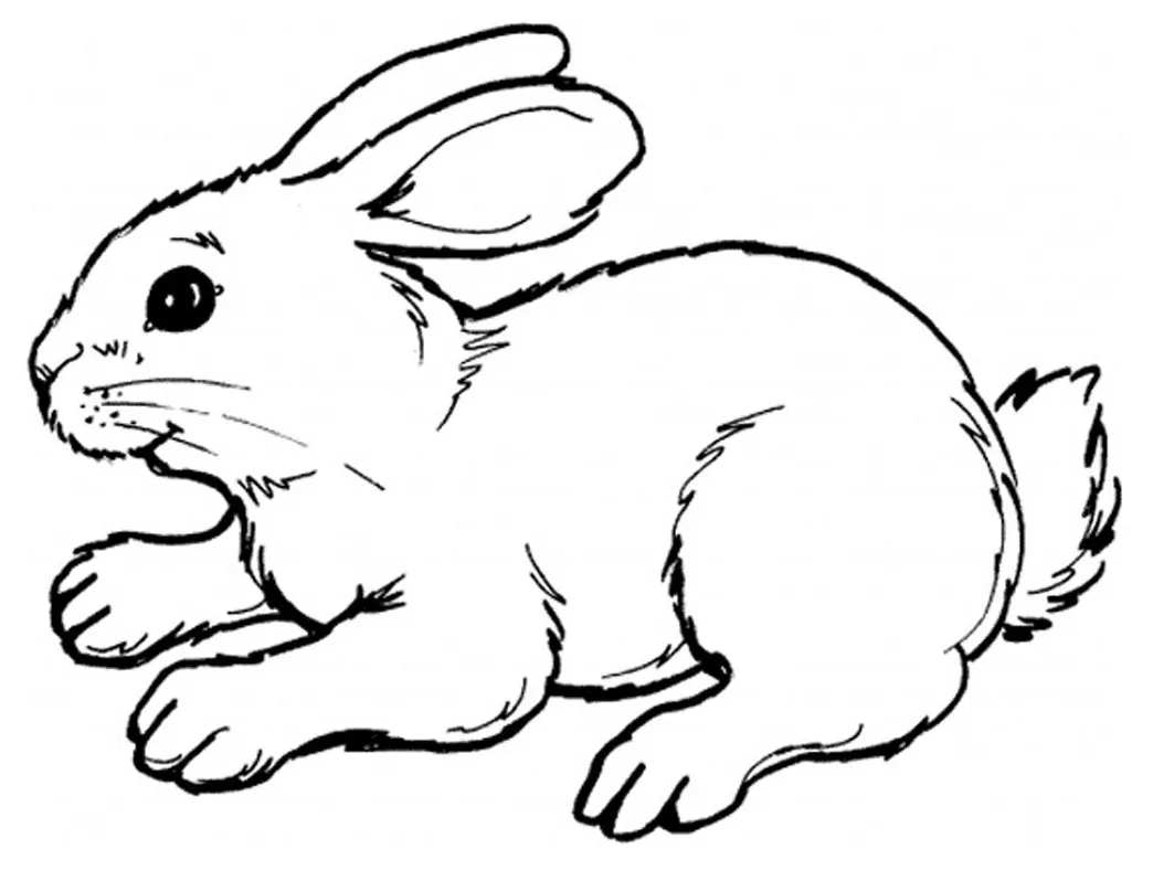 S best coloring pages for kids