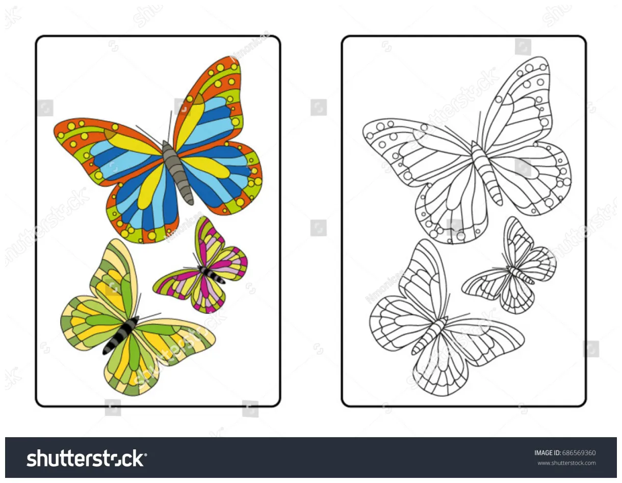 Coloring page butterfly stock vector 686569360