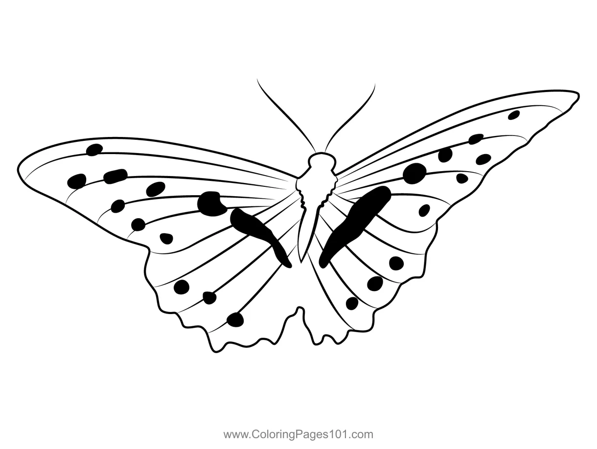 Open wings lemon butterfly coloring page for kids free butterflies