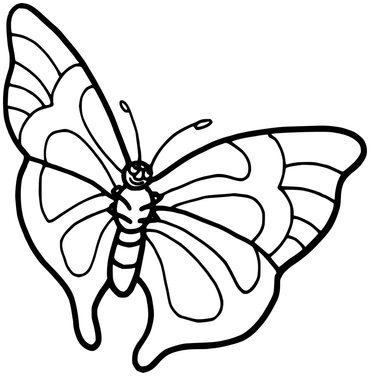 Butterfly with wings coloring pages coloring cool printable coloring page