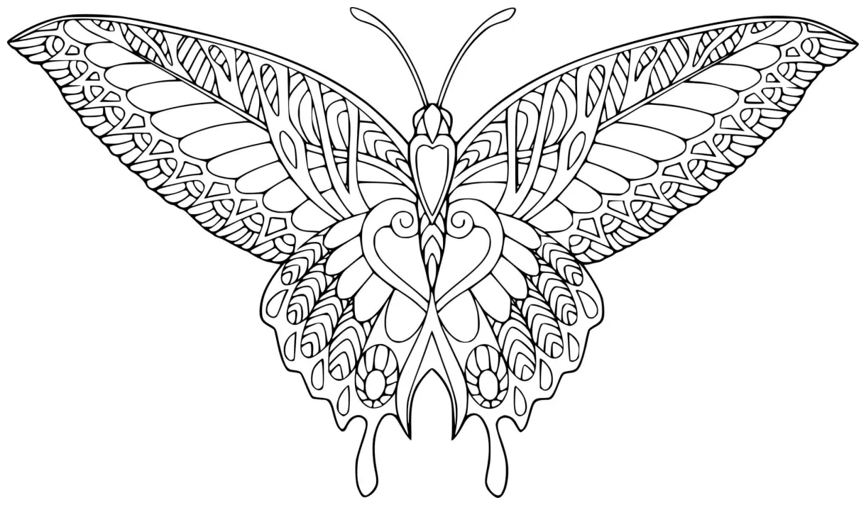 Butterfly with wings coloring pages coloring cool