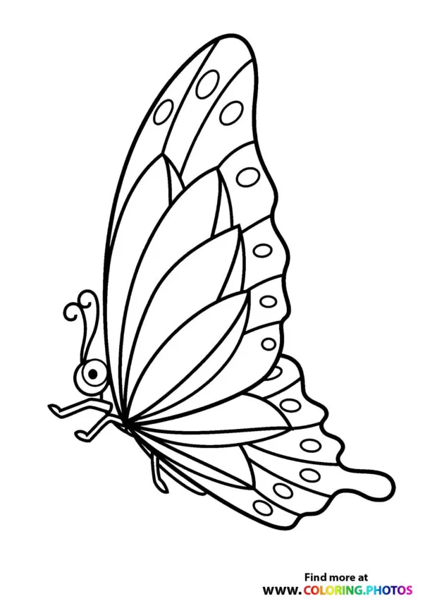 Butterfly with beautiful wings coloring pages for kids