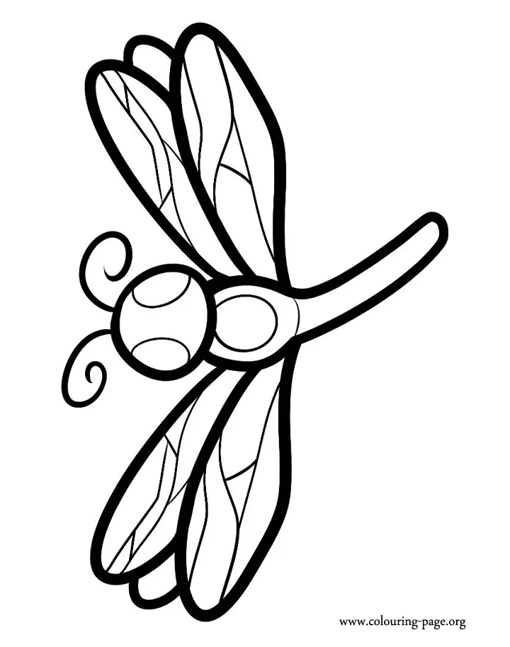 Butterflies a butterfly with beautiful wings coloring page