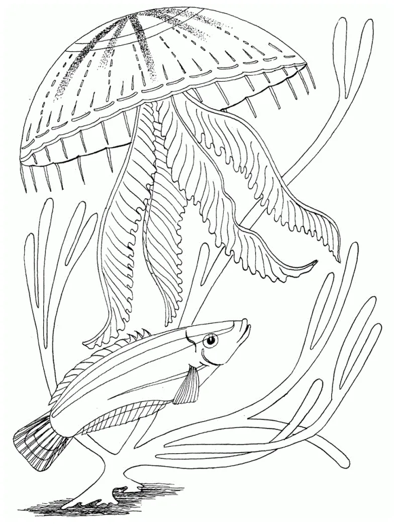 Free printable ocean coloring pages for kids