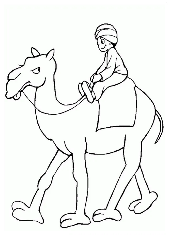 Camel travel coloring page