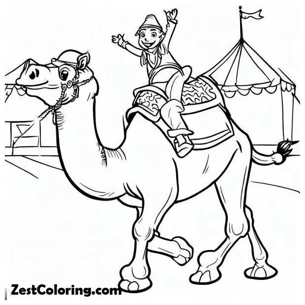 Camel riding on circus coloring page coloring for kids smart