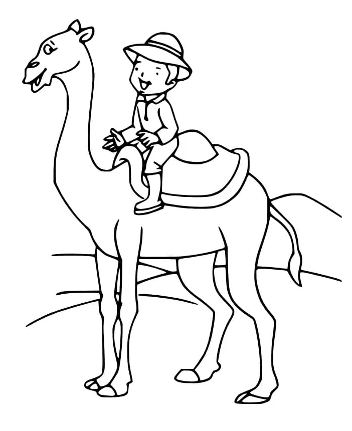 A boy is riding camel coloring page download, print or color online