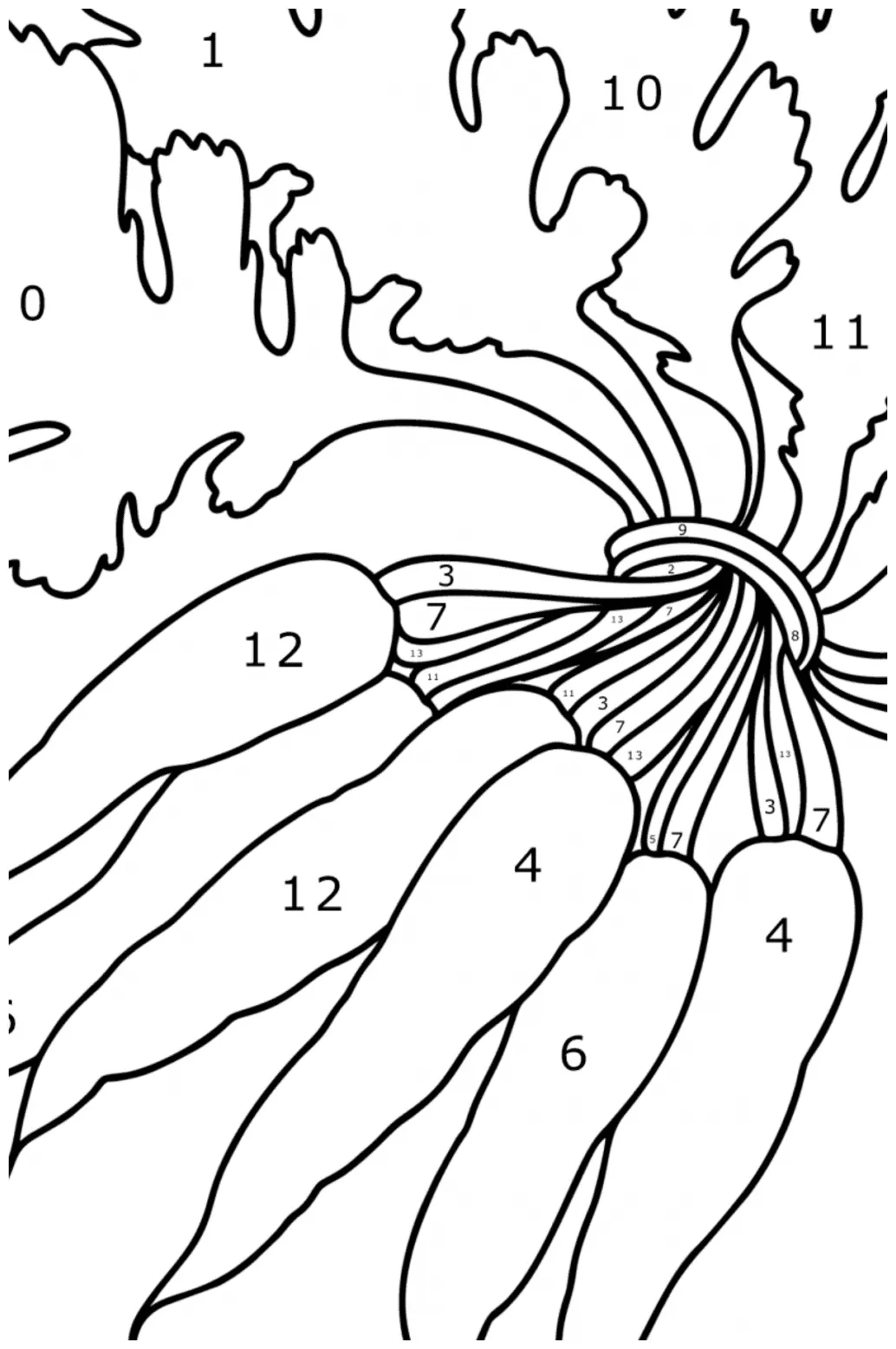 Bunch of carrots сoloring page ♥ online and print for free!