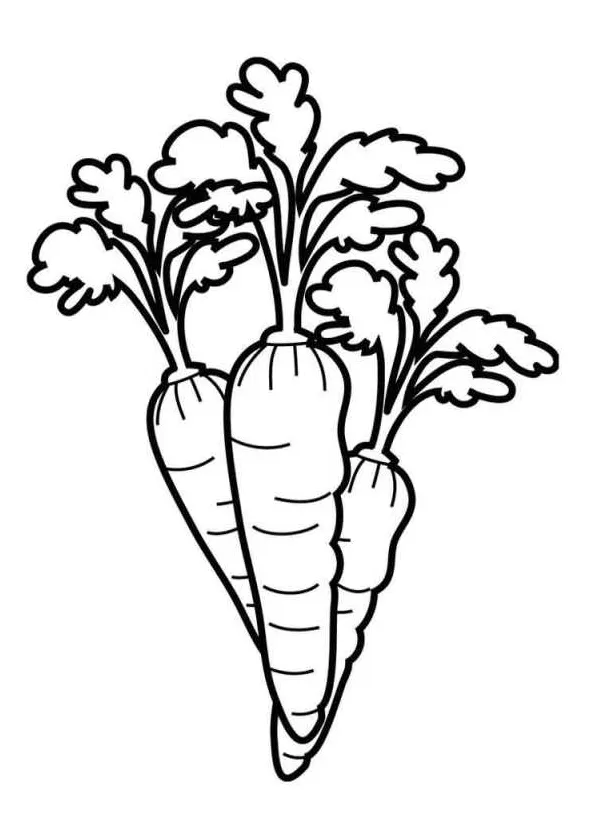 Kids-n-fun.com | Coloring page Vegetables Carrot