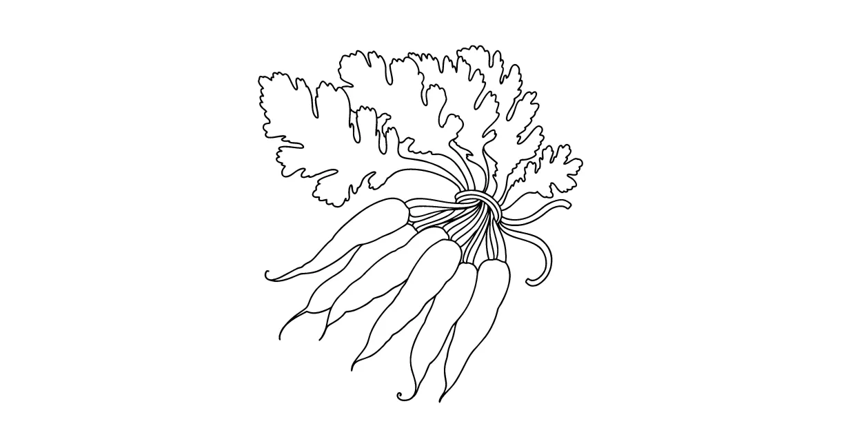 Bunch of carrots сoloring page ♥ online and print for free!