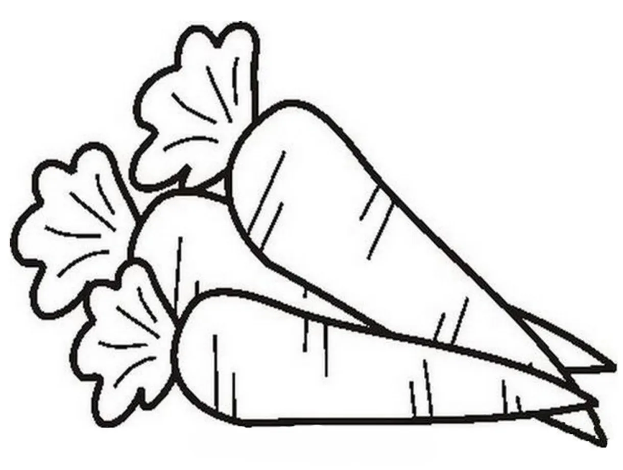 Carrot Coloring Page at GetDrawings | Free download