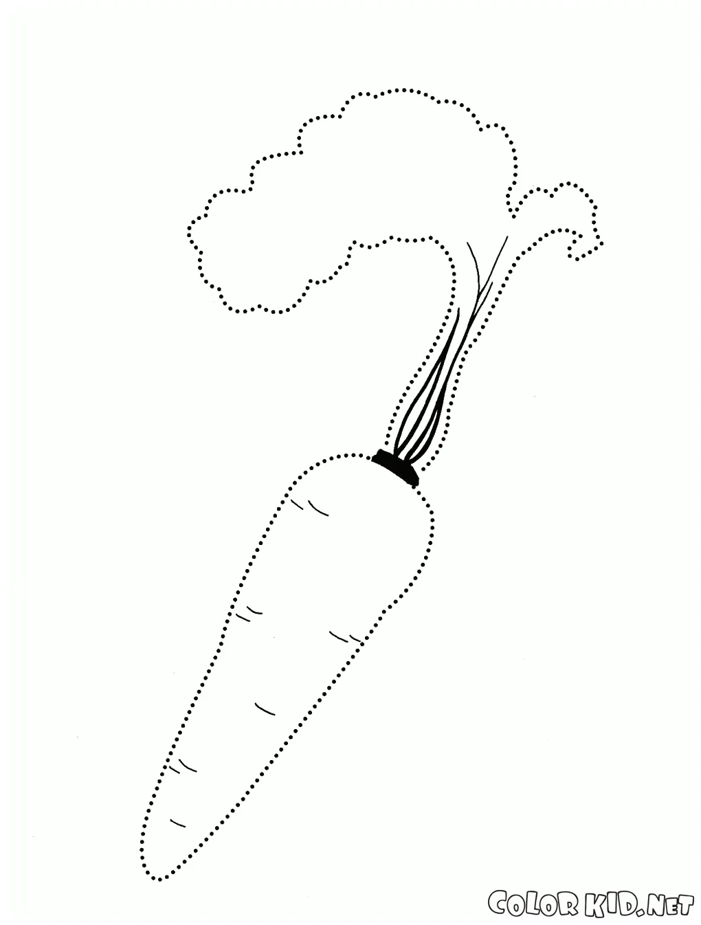 Coloring page - Carrot
