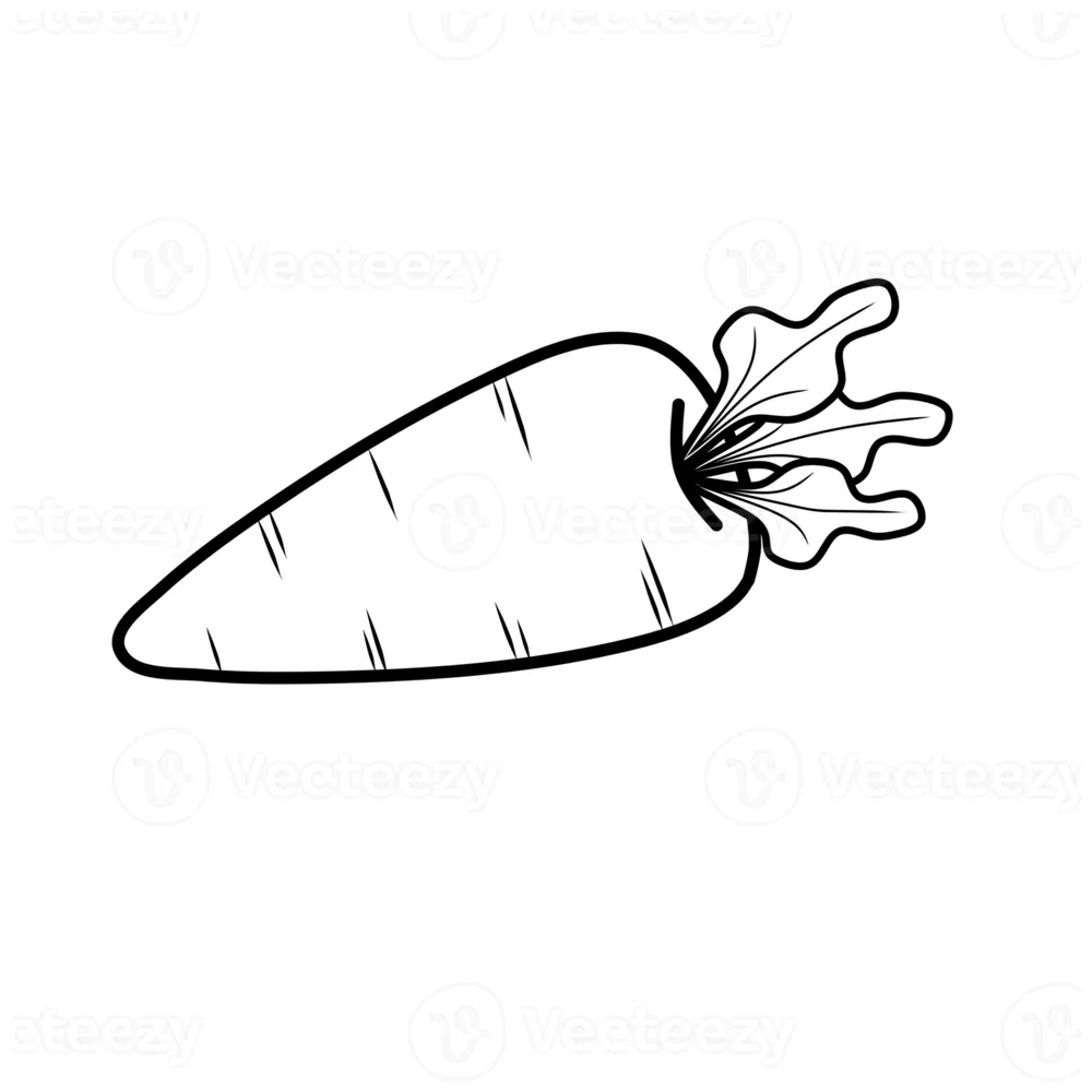Carrot coloring page. use for coloring children book. 14391229 png