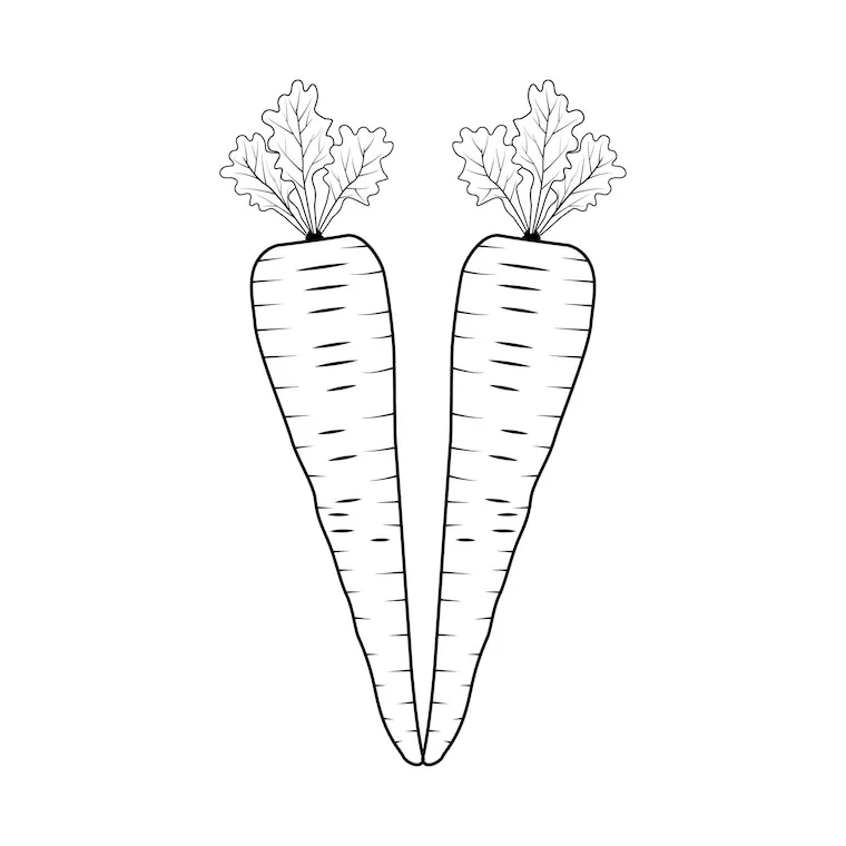 Premium vector carrot coloring pages