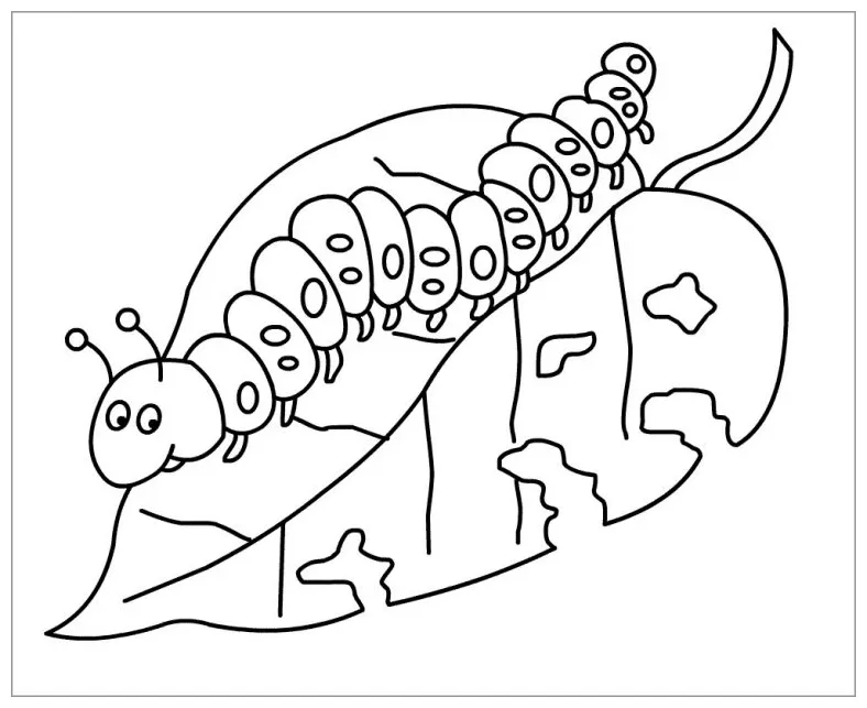 Caterpillar on a leaf coloring page coloringbay