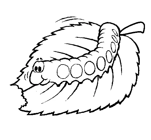 Caterpillar eating leaf coloring page
