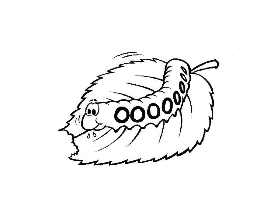 Online coloring pages coloring page the caterpillar eats the leaf