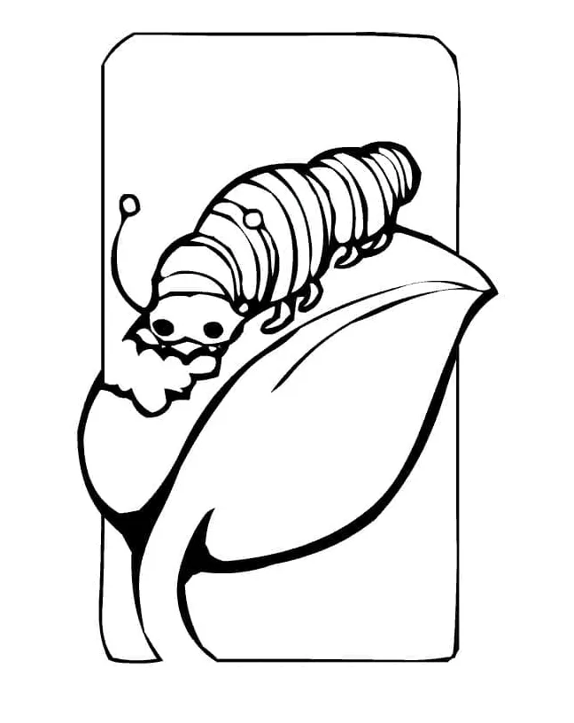 Caterpillar is eating leaf coloring page download, print or color printable coloring page