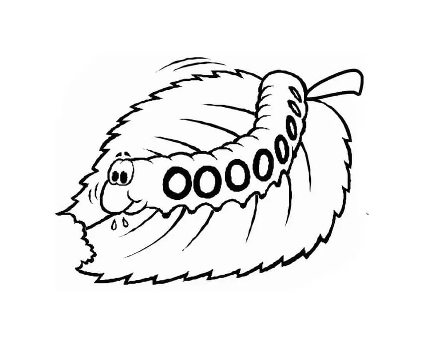 Cute caterpillar is eating leaf coloring page download, print or