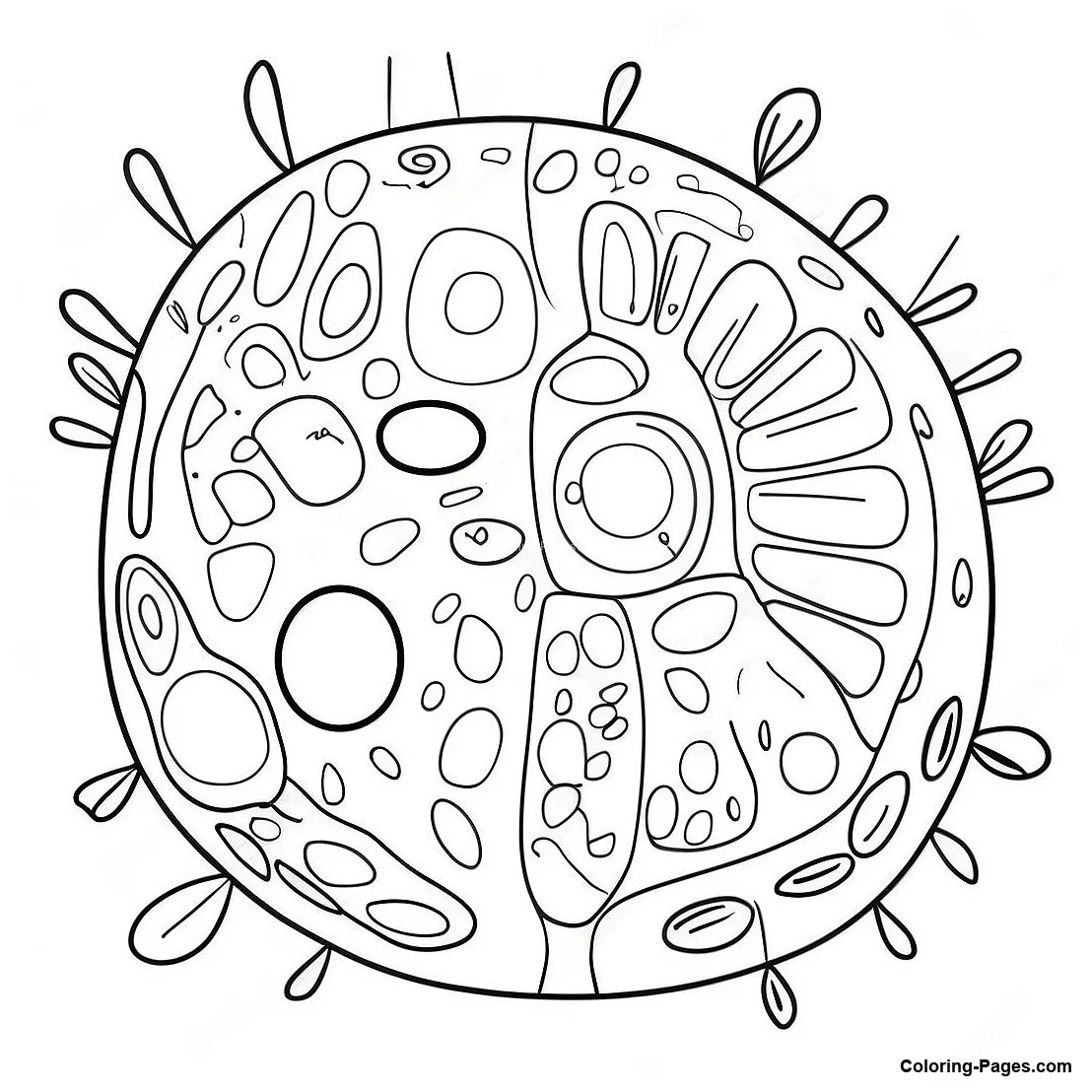 Plant coloring-pages
