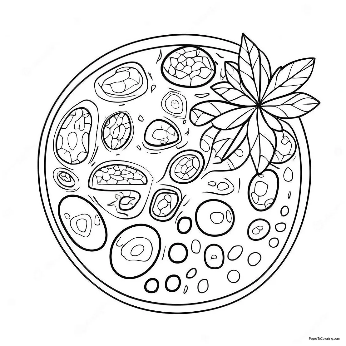 Colorful plant 10752-8905