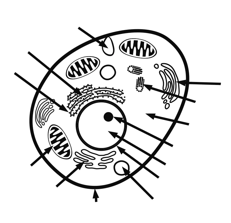 Cell coloring page coloring home