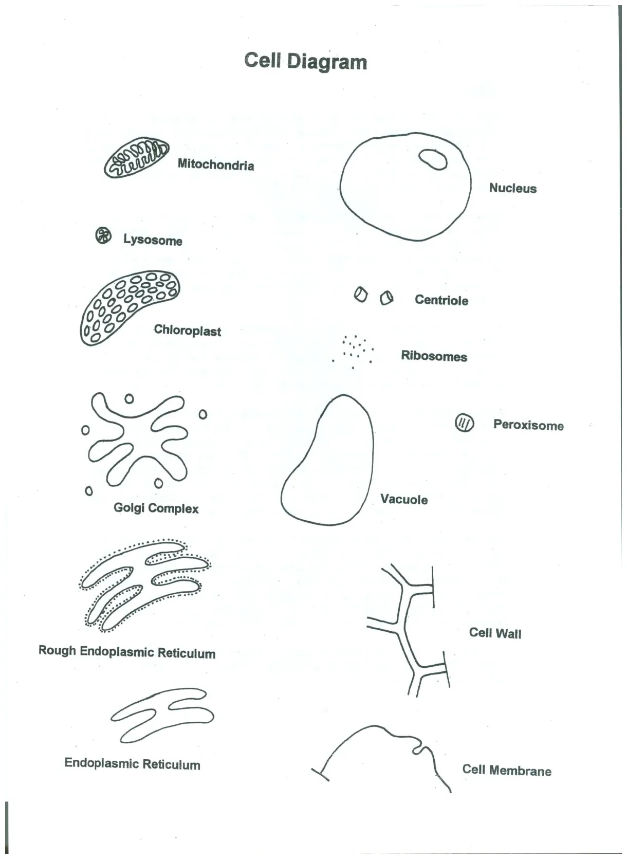 Cell coloring page coloring home