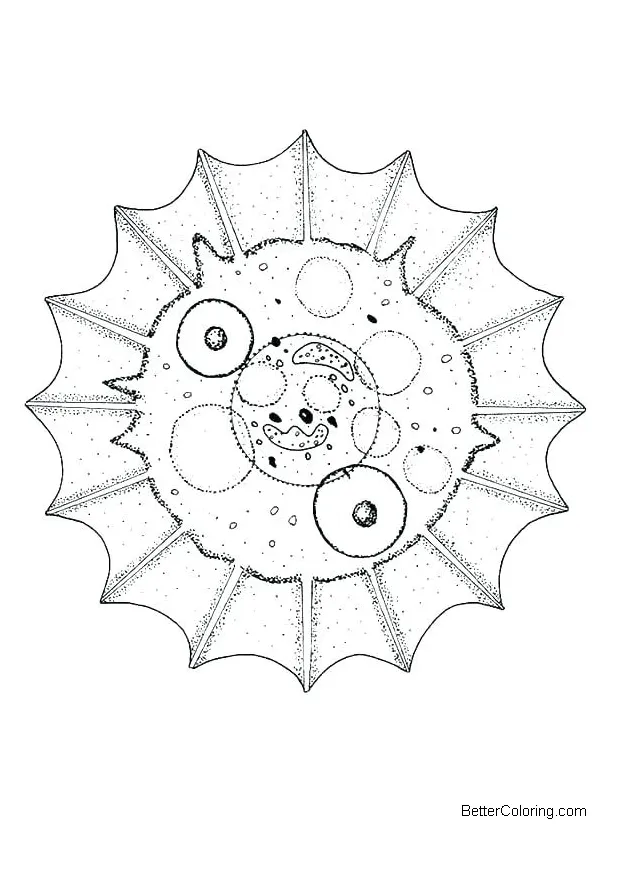 Animal cell coloring pages diagram graph free printable coloring