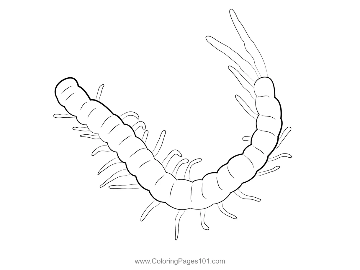 Centipede 2 coloring page for kids free centipedes printable coloring