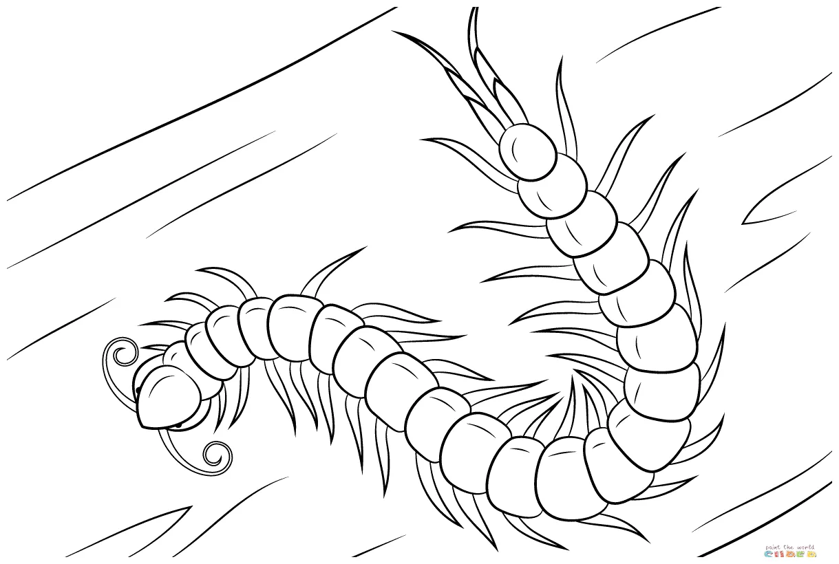 The best free s. download from 24 free