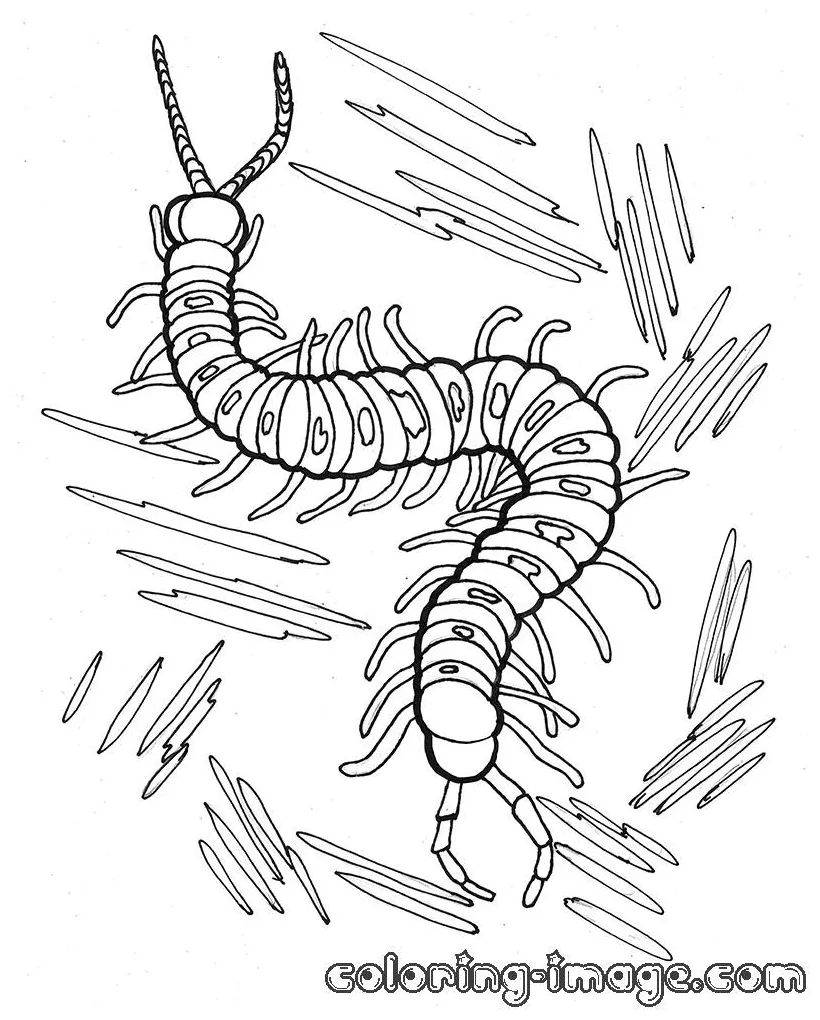 At getcolorings free printable colorings