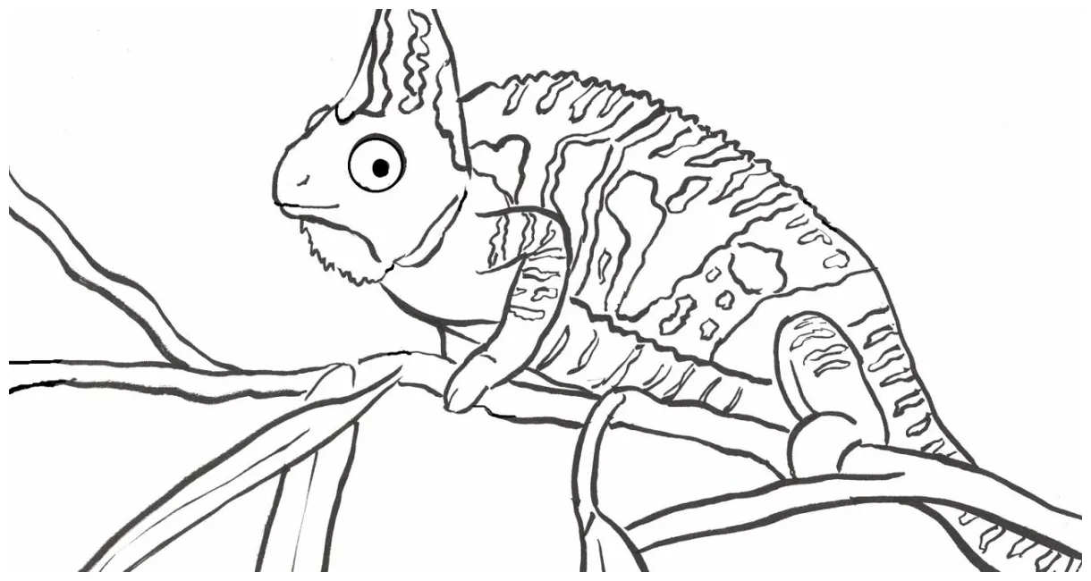 Chameleon coloring page art starts