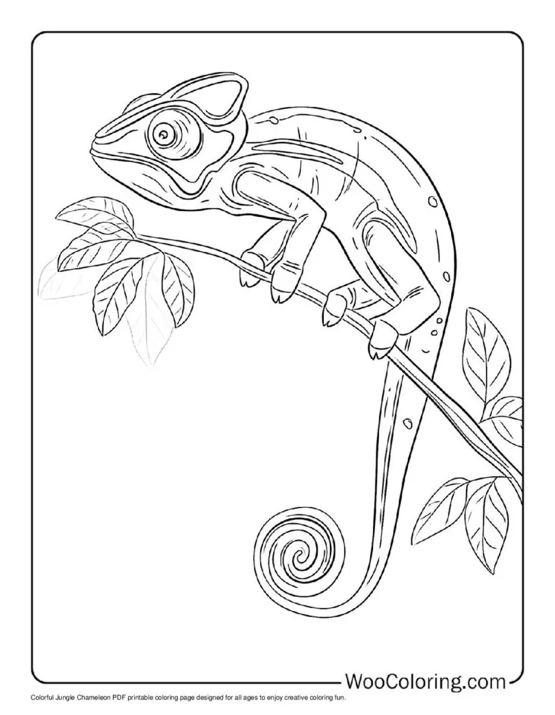 100+ chameleon coloring pages free pdf to print woo coloring