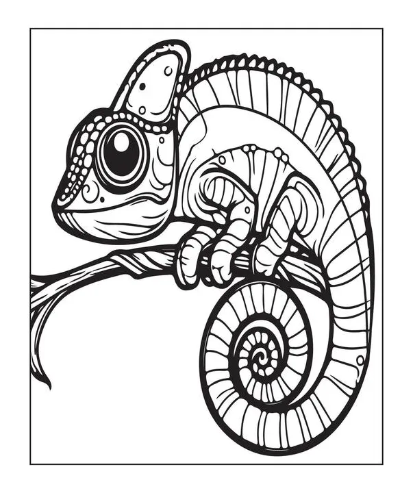 Chameleon coloring page vector art, icons, and graphics for