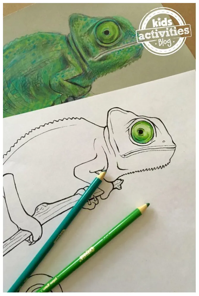 Chameleon coloring page you'll want to see how many camouflages you