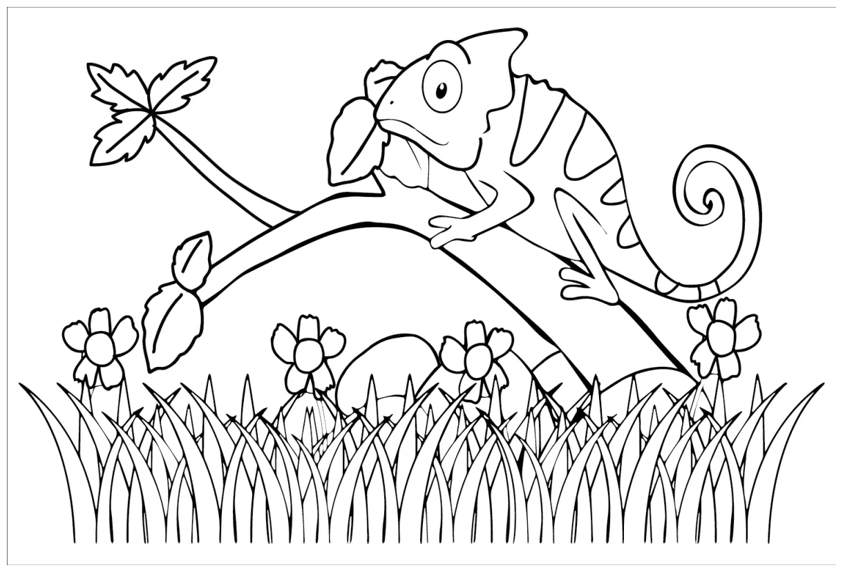 37 chameleon coloring pages coloringpagesonly