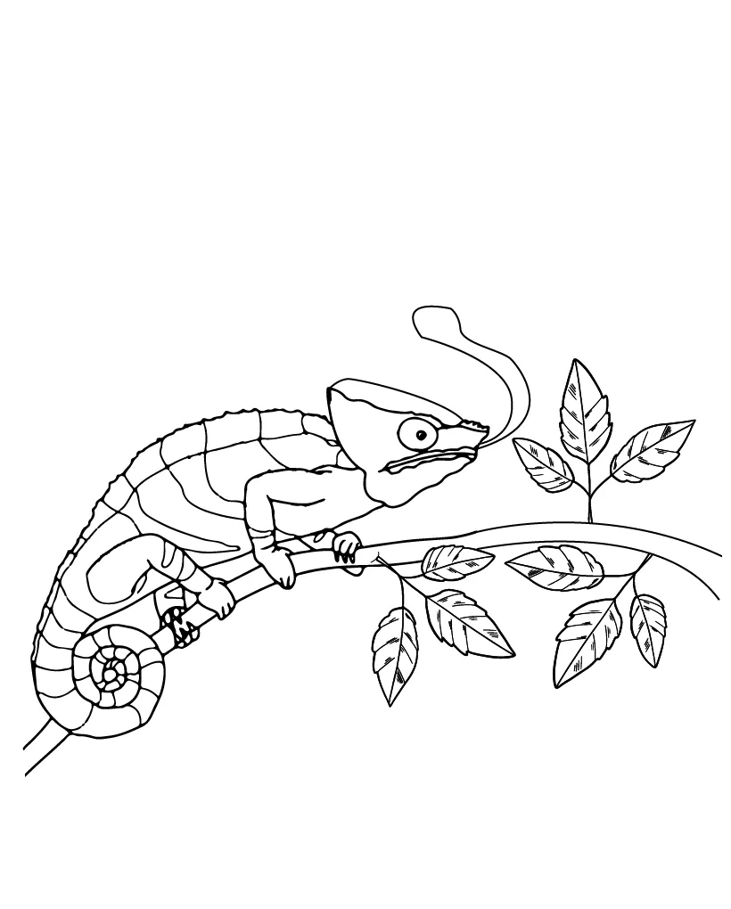 Chameleon coloring page-13