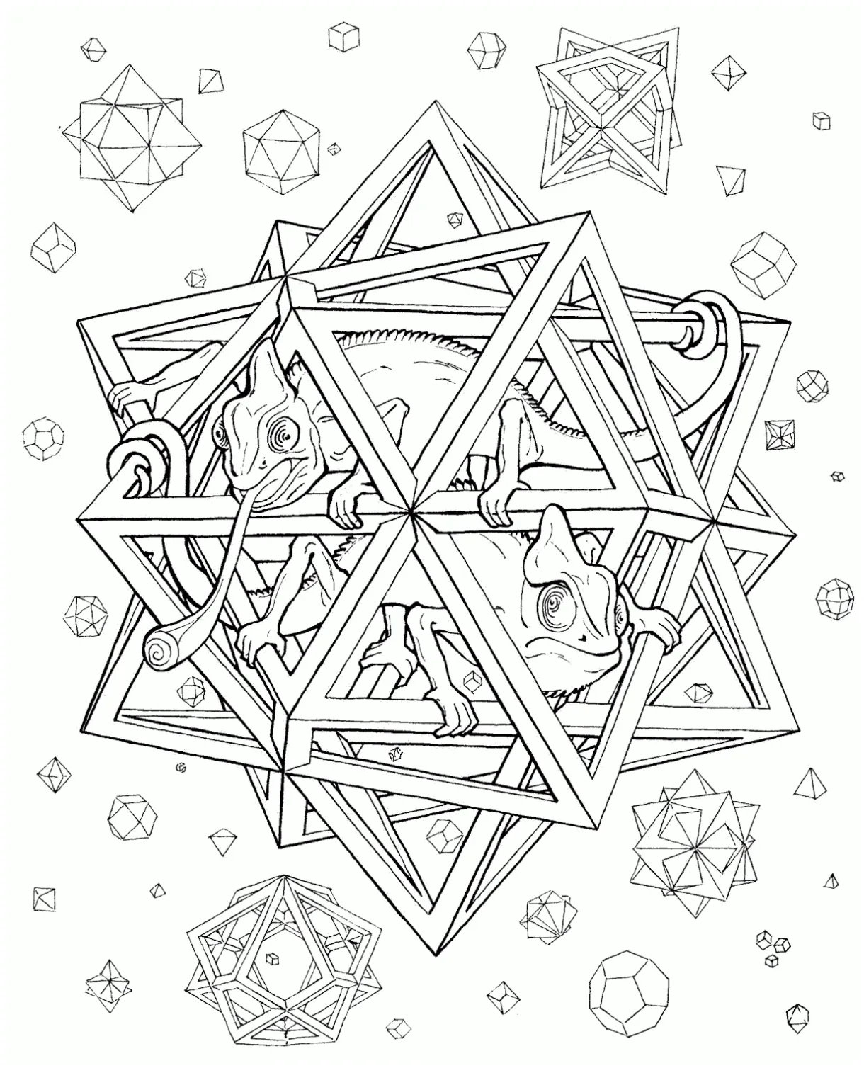 37 chameleon coloring pages coloringpagesonly