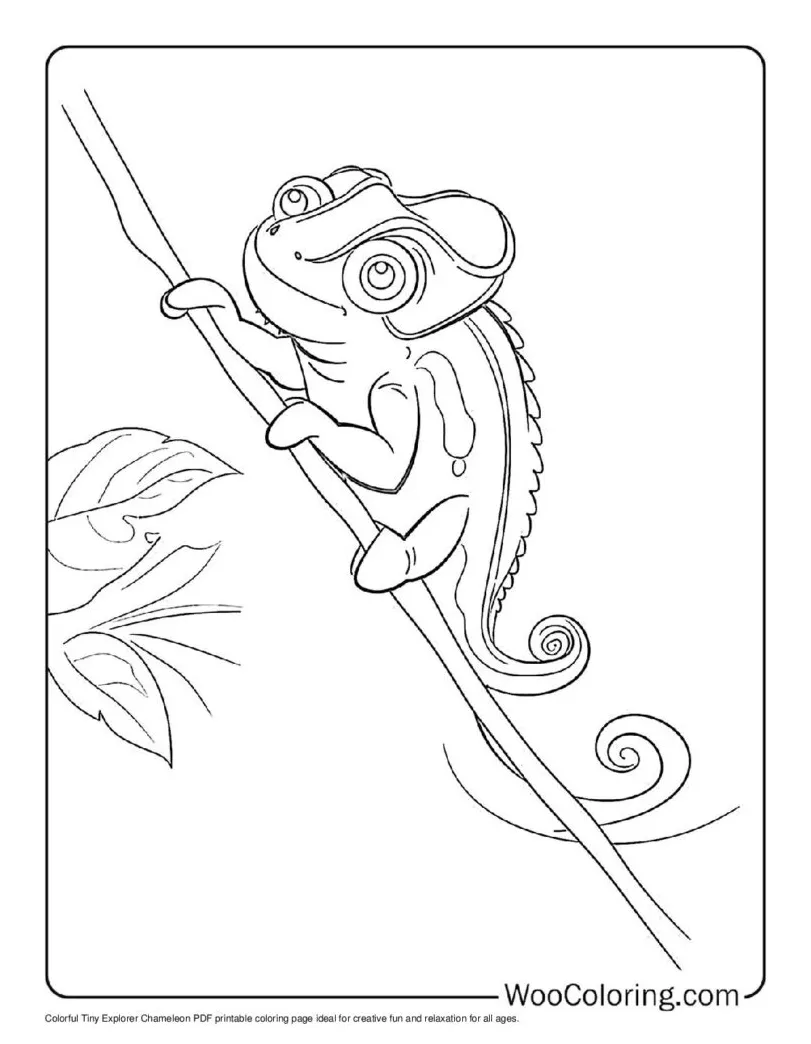 100+ chameleon coloring pages free pdf to print woo coloring
