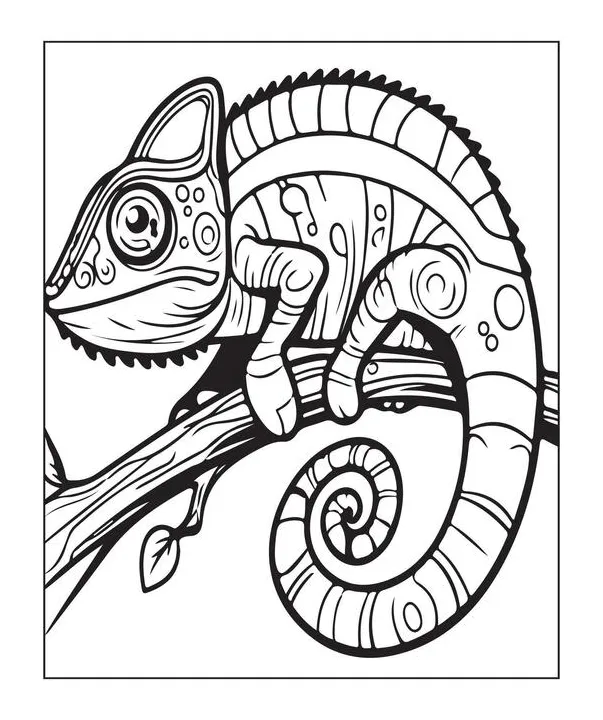 Chameleon coloring page vector art, icons, and graphics for