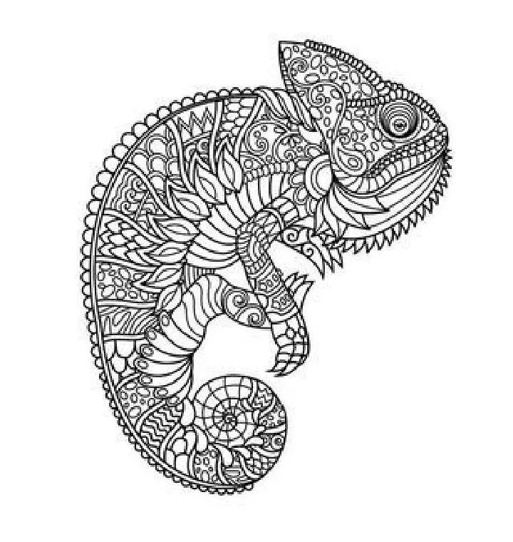 Chameleon coloring pages free printable pdf