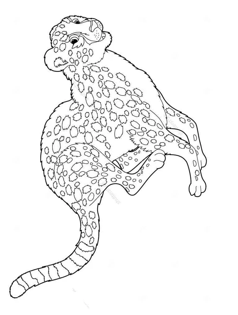 Simple running cheetah coloring page