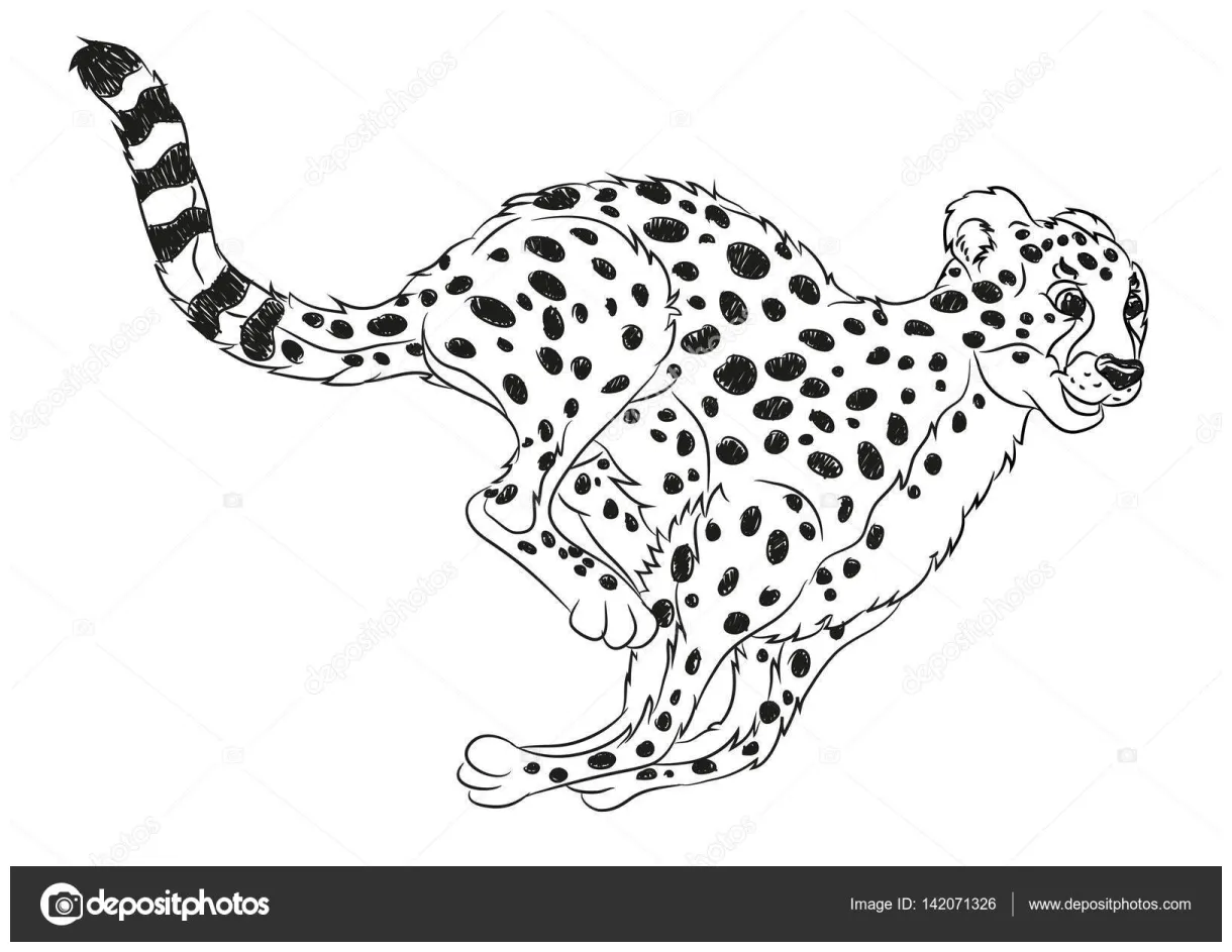 Cheetah running coloring pages [2025]